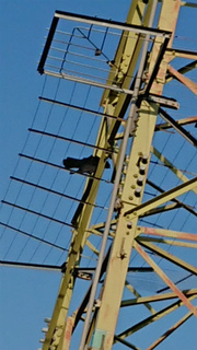 sDSC_0004.jpg