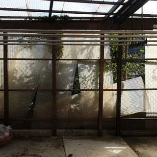 sP9255321.jpg
